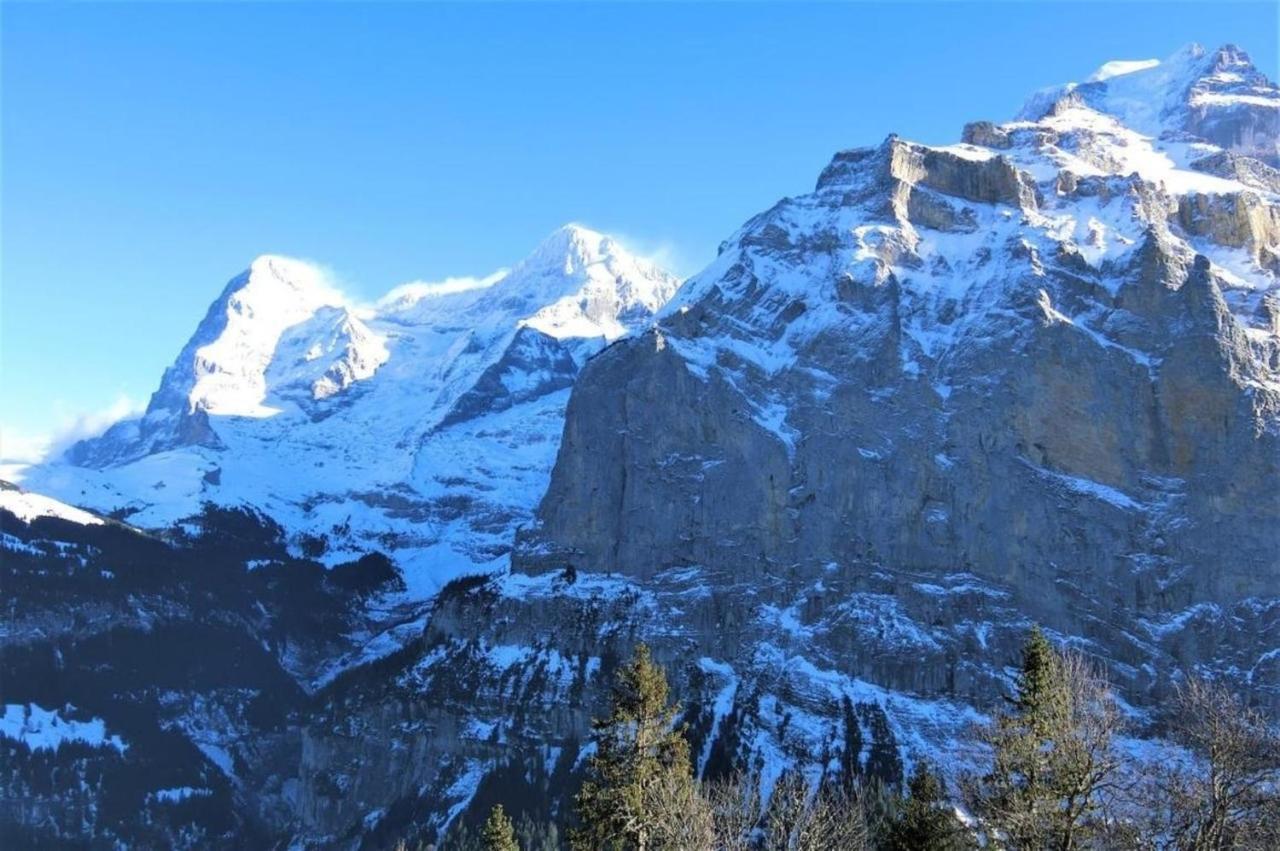 Chalet Raufthubel 2-Zi Apartment Mürren Eksteriør bilde